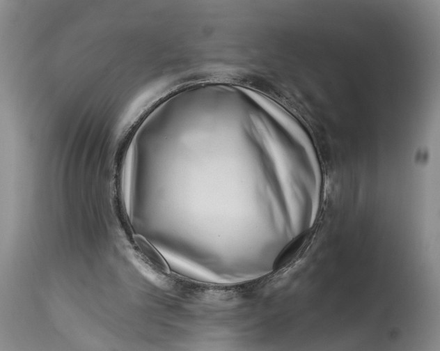 X0000114160101200911051514