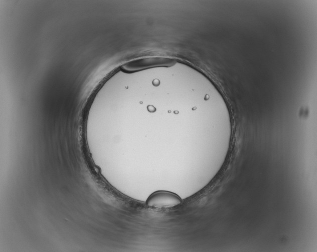 X0000114160103200911051514