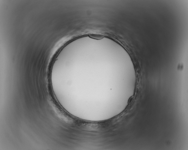 X0000114160104200911051514