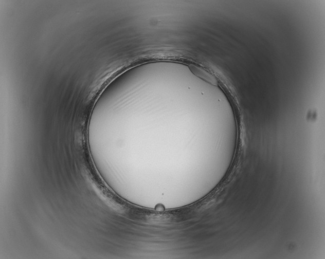 X0000114160105200911051514