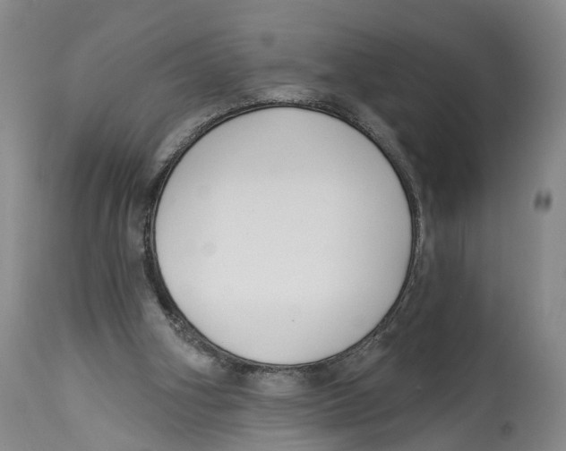 X0000114160106200911051514