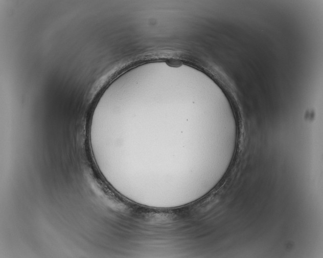 X0000114160107200911051514