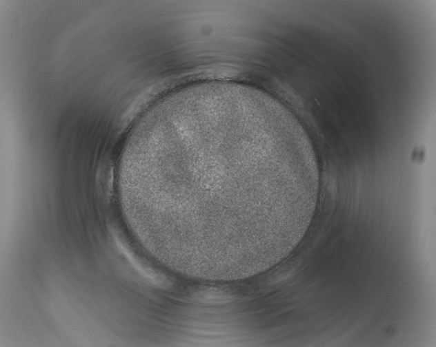 X0000114160110200911051514