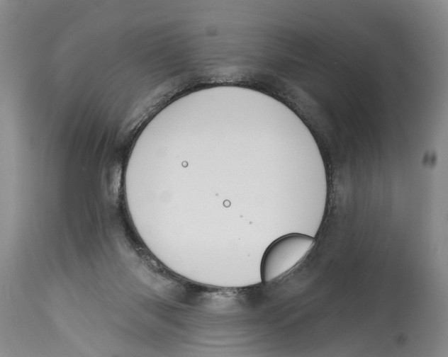 X0000114160118200911051513