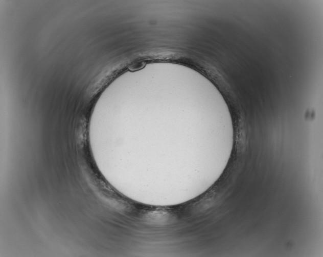 X0000114160119200911051513