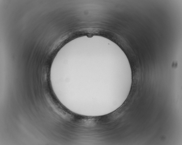 X0000114160120200911051513