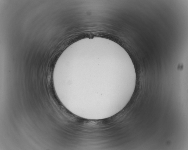 X0000114160129200911051513