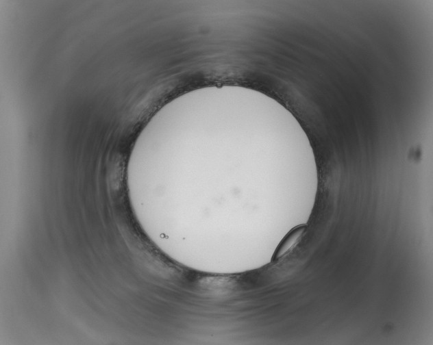 X0000114160133200911051513