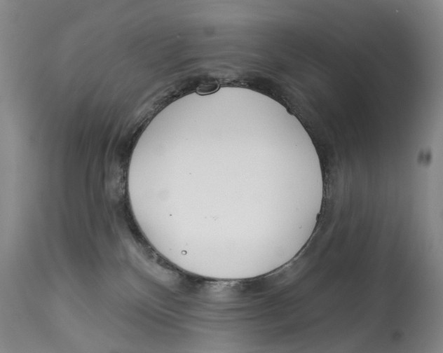 X0000114160136200911051513