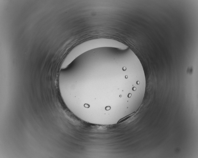 X0000114160140200911051513