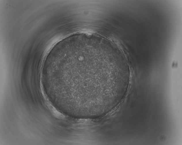 X0000114160145200911051512