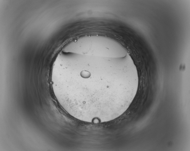 X0000114160146200911051512