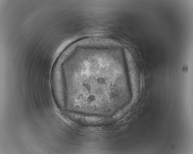 X0000114160147200911051512