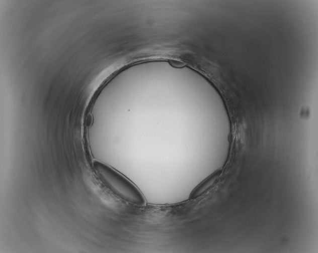 X0000114160148200911051512