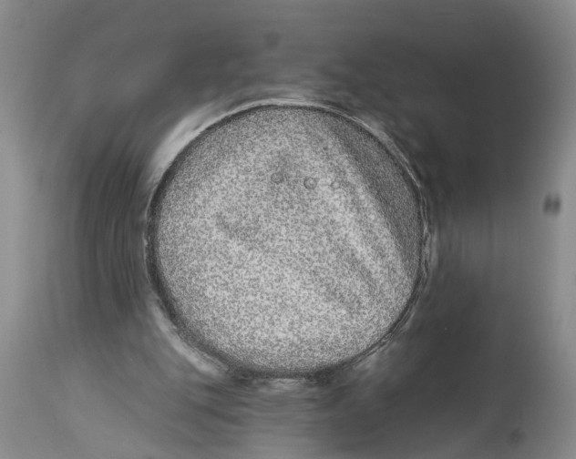 X0000114160151200911051513