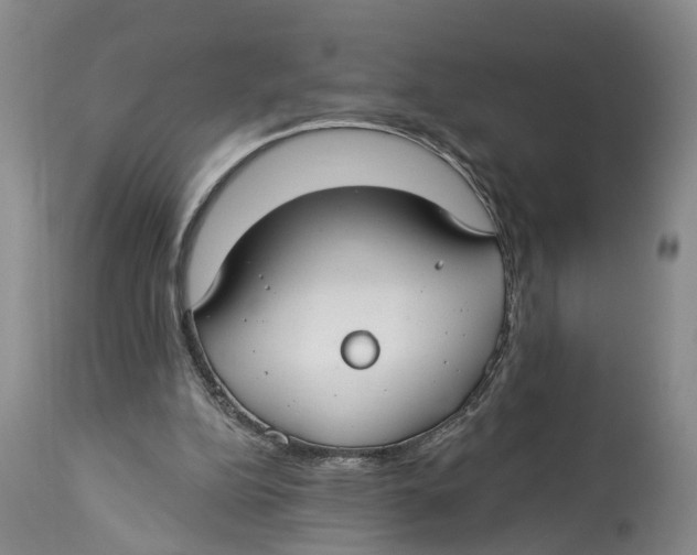 X0000114160152200911051513
