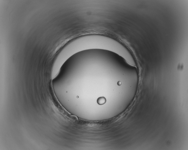 X0000114160154200911051513