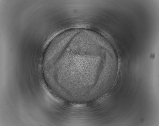 X0000114160155200911051513