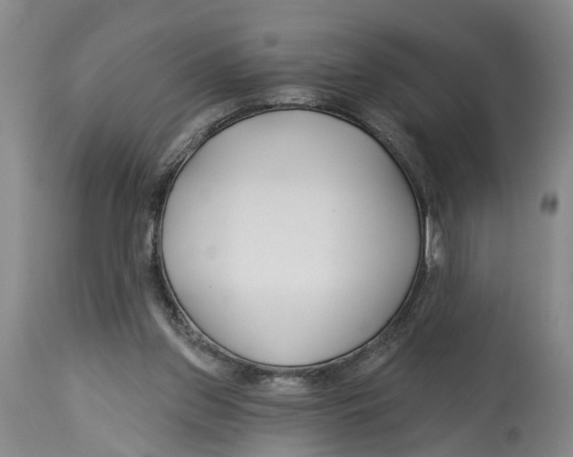 X0000114160157200911051513