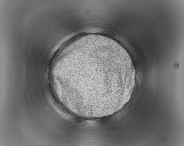 X0000114160159200911051513
