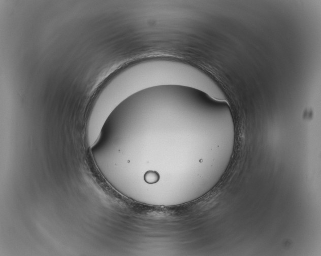 X0000114160160200911051513