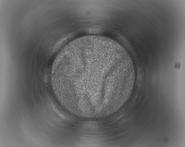X0000114160161200911051513