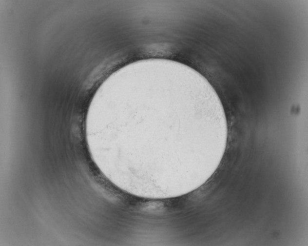 X0000114160162200911051513