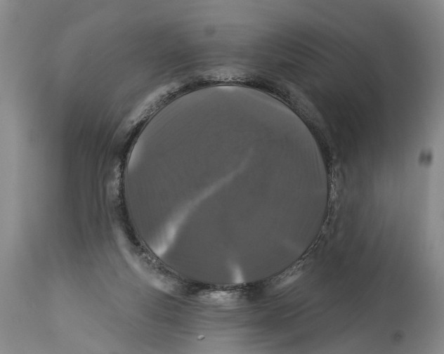 X0000114160163200911051513