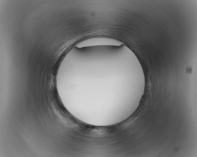 X0000114160164200911051513