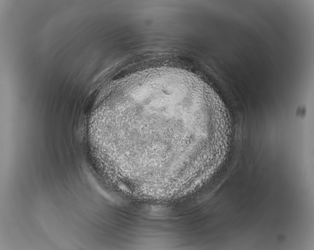 X0000114160165200911051513
