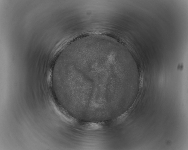 X0000114160166200911051513