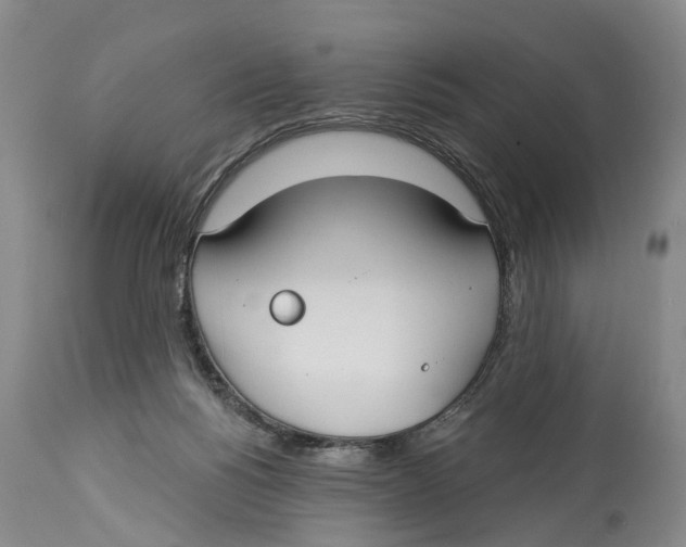 X0000114160168200911051513