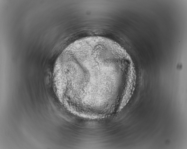 X0000114160169200911051513