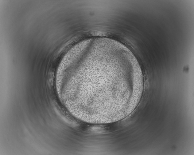 X0000114160171200911051513