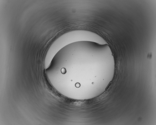 X0000114160172200911051513