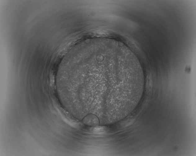 X0000114160173200911051513