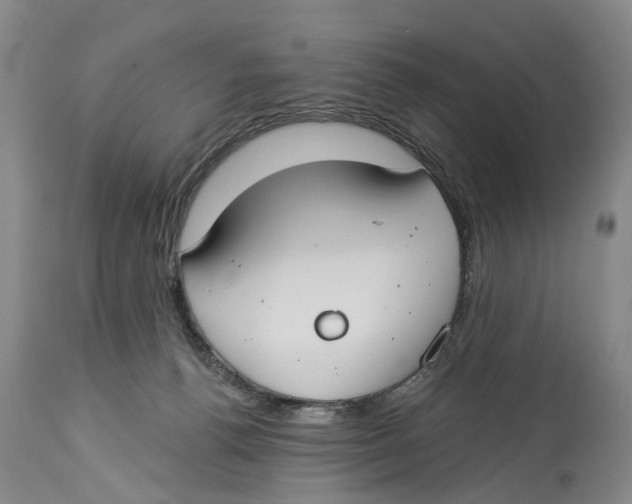 X0000114160176200911051513
