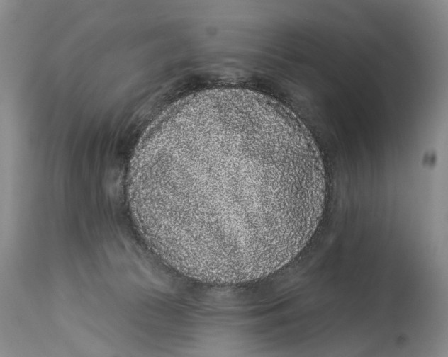 X0000114160177200911051513
