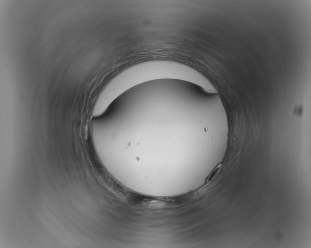 X0000114160180200911051513