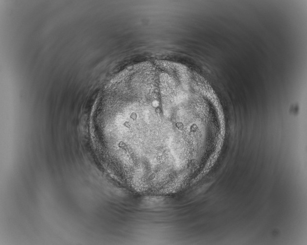 X0000114160181200911051513