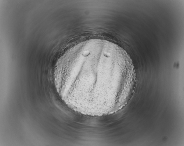 X0000114160182200911051513