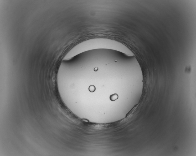 X0000114160184200911051513