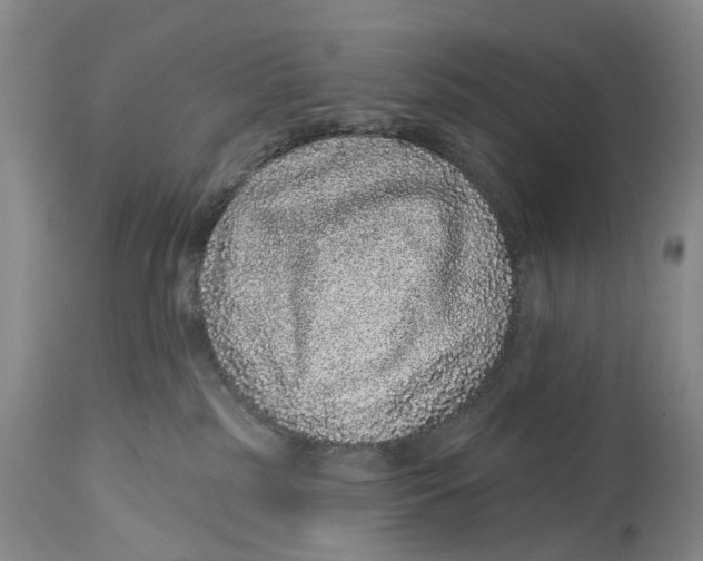 X0000114160185200911051513