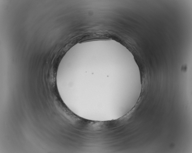 X0000114160186200911051513