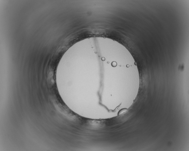 X0000114160187200911051513
