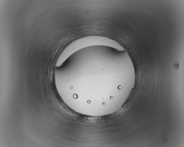 X0000114160188200911051513
