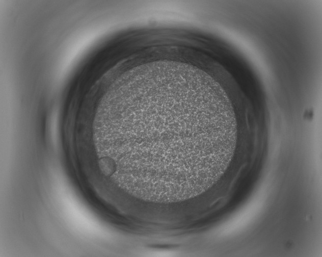 X0000114160189200911051513