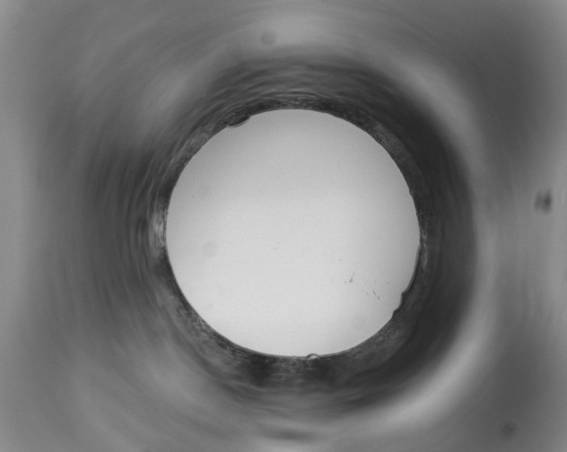 X0000114160190200911051513