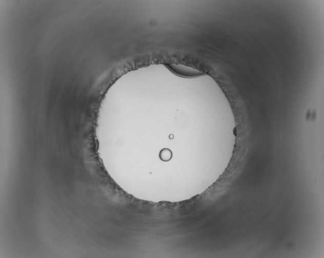 X0000114160192200911051513
