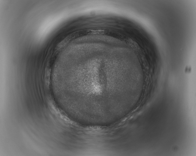 X0000114160194200911051512